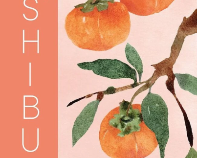 SHIBUI ศิลปะการมองเห็นความงามแห่งวัย (ปกแข็ง)